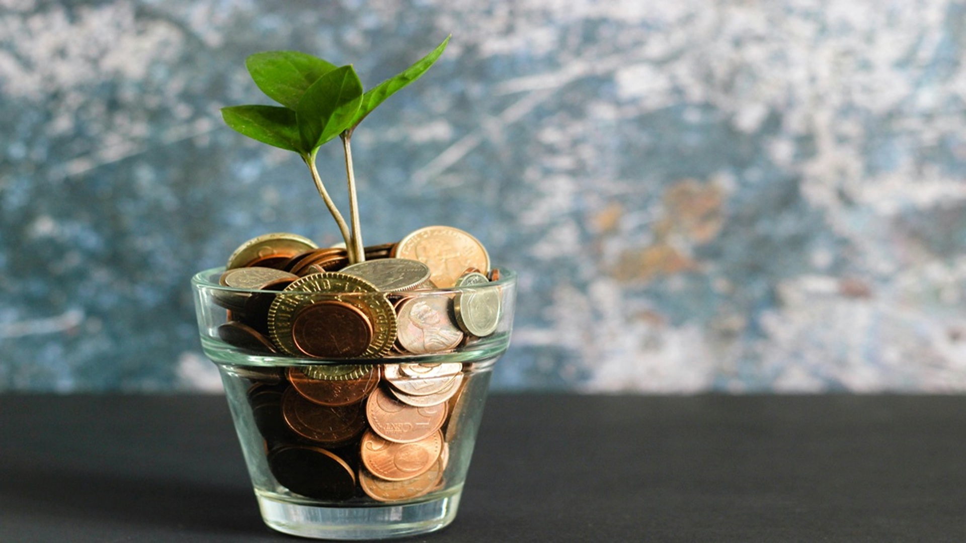 When Does Financing Make More Sense Than Paying Cash?